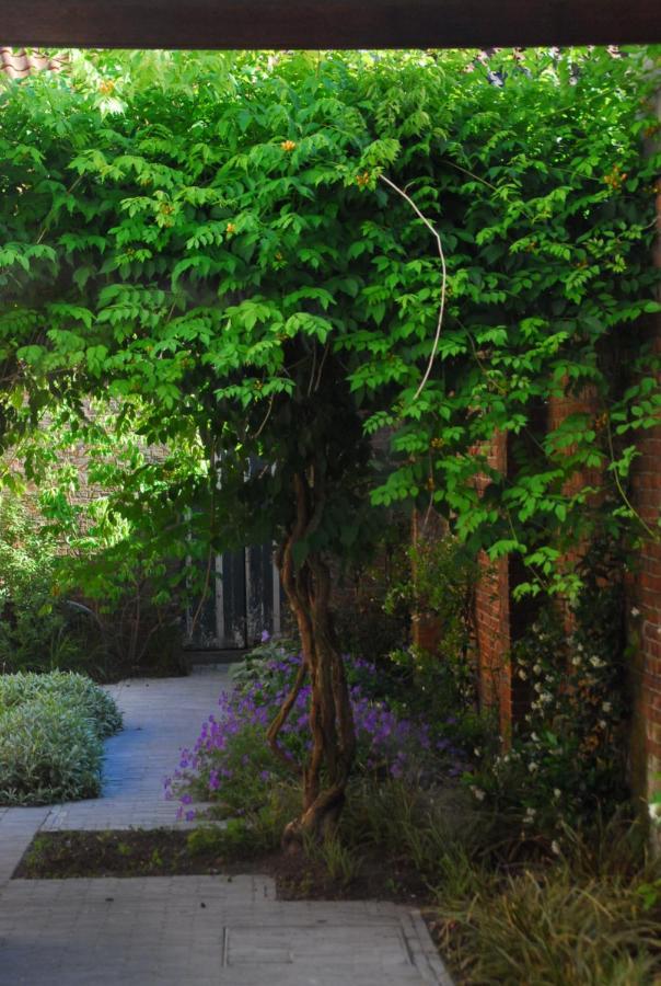 Nostra Signora Bed & Breakfast *